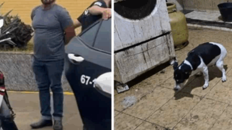 Médico é preso após polícia encontrar cães congelados em freezer Ao chegarem ao local, os agentes da Polícia Militar se depararam com uma cena de extremo abandono