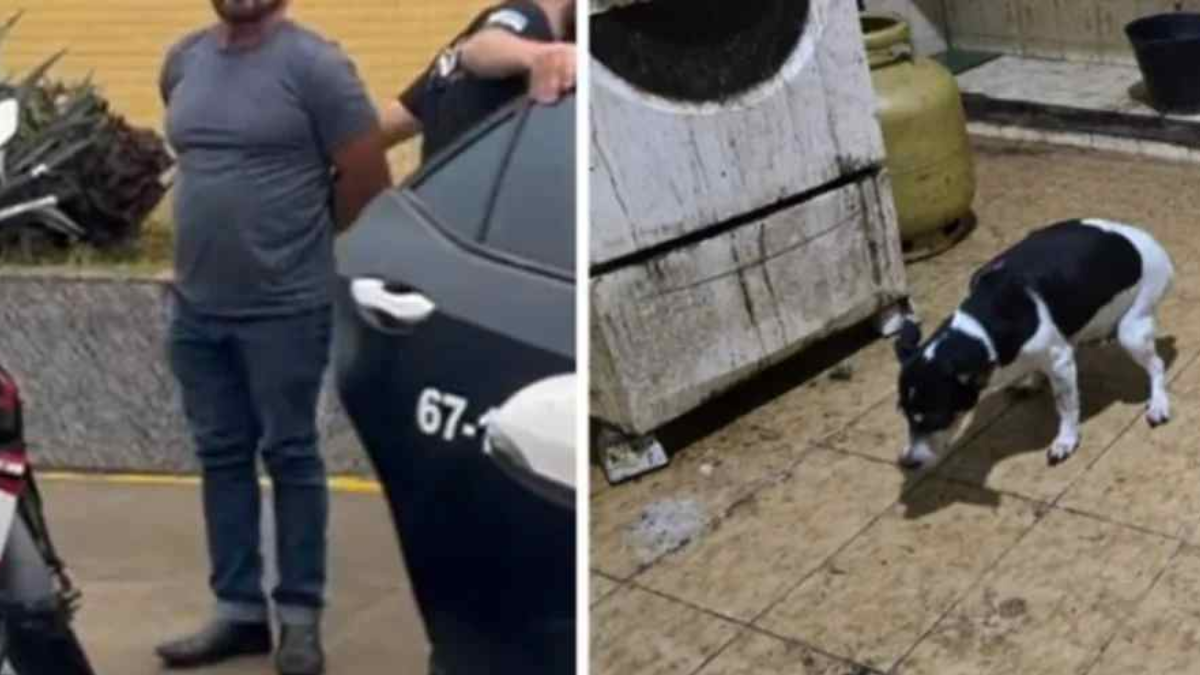 Médico é preso após polícia encontrar cães congelados em freezer Ao chegarem ao local, os agentes da Polícia Militar se depararam com uma cena de extremo abandono