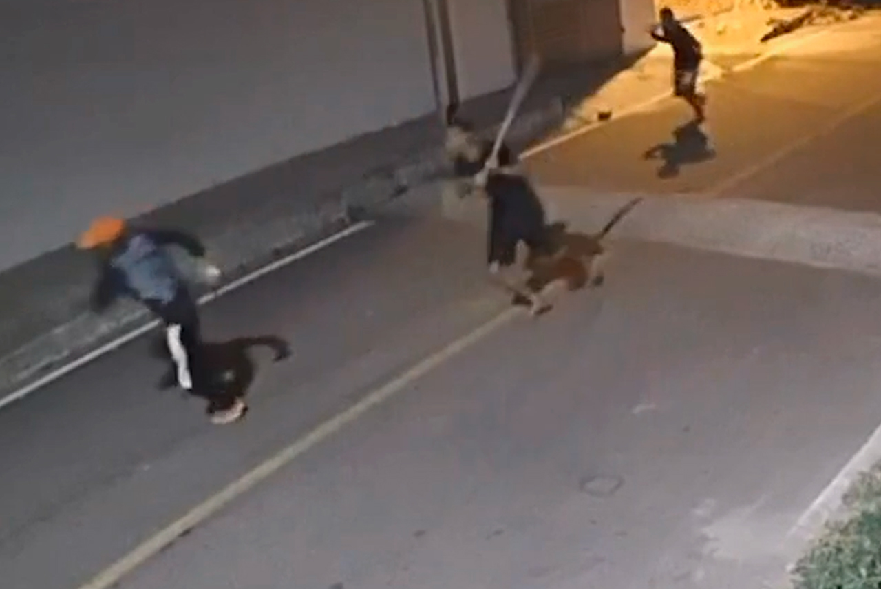 Agressão violenta deixa homem em estado grave, em Delmiro Gouveia Homem de 38 anos sofre agressão brutal com pedaços de madeira em Delmiro Gouveia e é transferido em estado grave para hospital de Arapiraca; polícia investiga o caso.