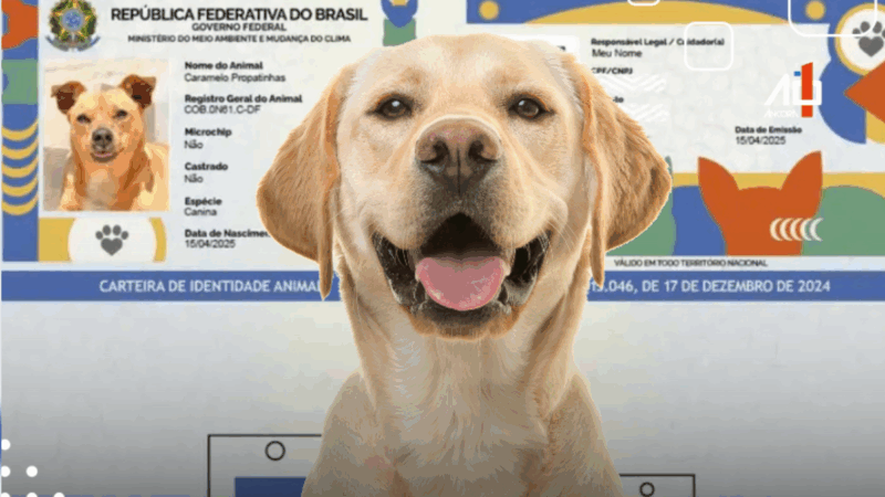 “RG pet” vira moda nas redes e encanta tutores e seguidores RG Animal do governo viraliza com nomes e fotos dos pets; iniciativa gratuita visa identificar cães e gatos e promover a guarda responsável.