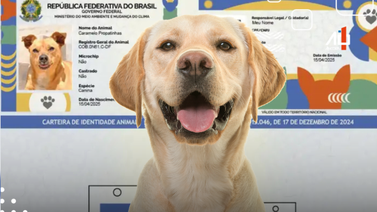 “RG pet” vira moda nas redes e encanta tutores e seguidores RG Animal do governo viraliza com nomes e fotos dos pets; iniciativa gratuita visa identificar cães e gatos e promover a guarda responsável.